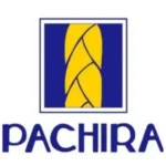 Lowongan Kerja di PT Pachira Distrinusa