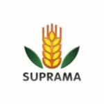 Lowongan Kerja di PT Surya Pratista Hutama (Suprama)